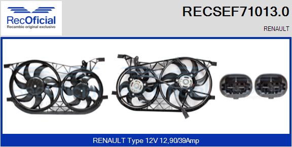 RECSEF71013.0