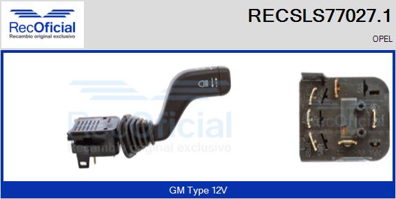 RECSLS77027.1