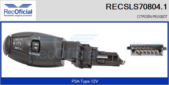 RECSLS70804.1