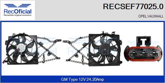 RECSEF77025.0