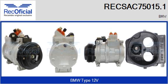 RECSAC75015.1