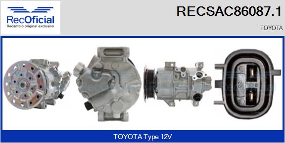 RECSAC86087.1