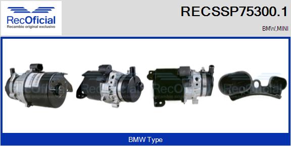 RECSSP75300.1