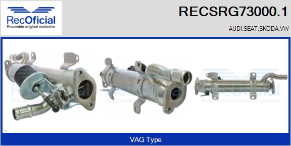 RECSRG73000.1