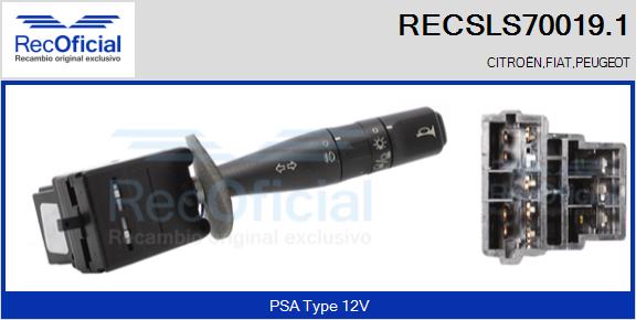 RECSLS70019.1