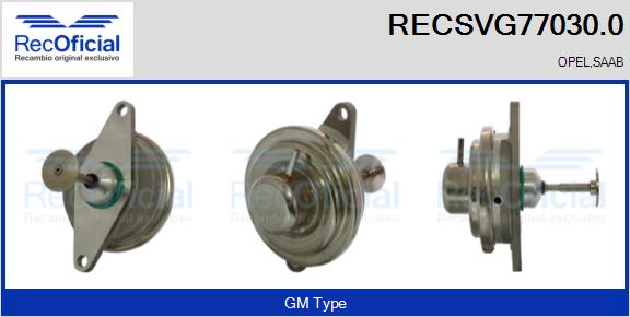 RECSVG77030.0