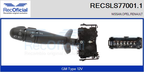 RECSLS77001.1