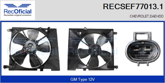 RECSEF77013.1