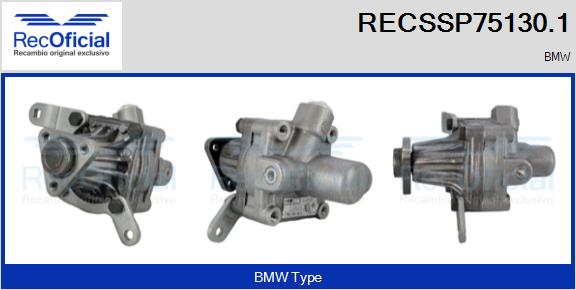 RECSSP75130.1