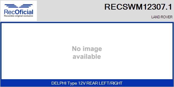 RECSWM12307.1