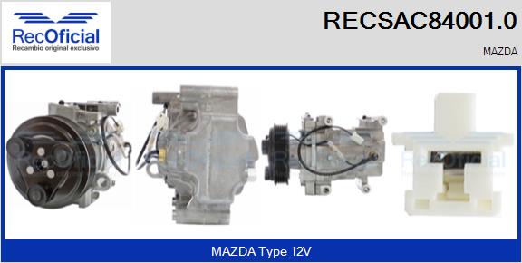 RECSAC84001.0