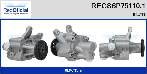 RECSSP75110.1