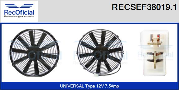 RECSEF38019.1