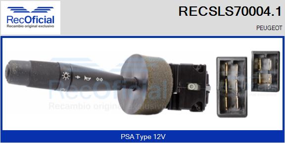 RECSLS70004.1