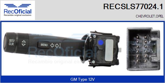 RECSLS77024.1