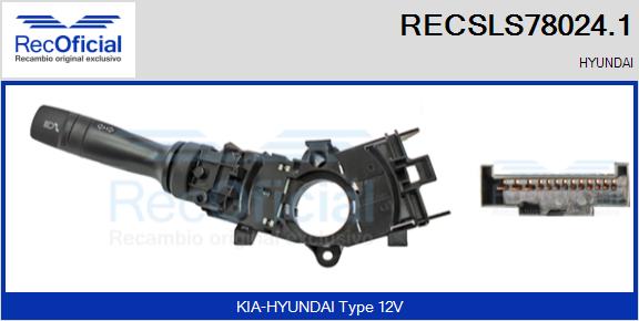 RECSLS78024.1