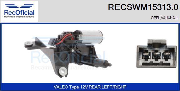 RECSWM15313.0