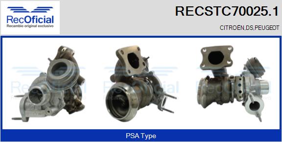 RECSTC70025.1