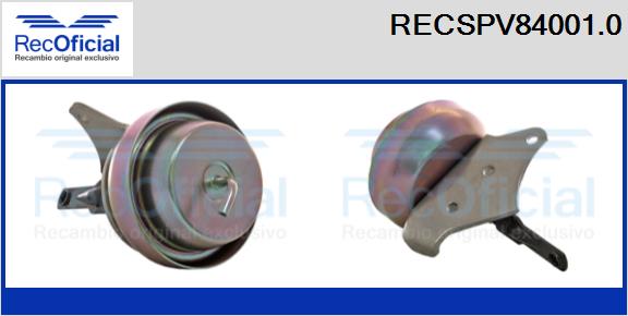 RECSPV84001.0