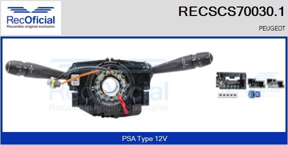 RECSCS70030.1