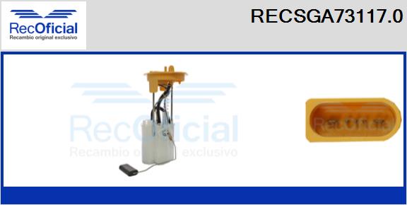 RECSGA73117.0