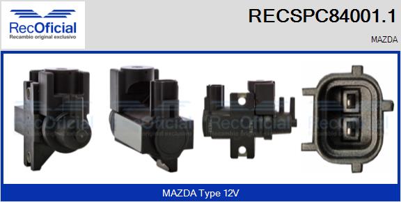 RECSPC84001.1