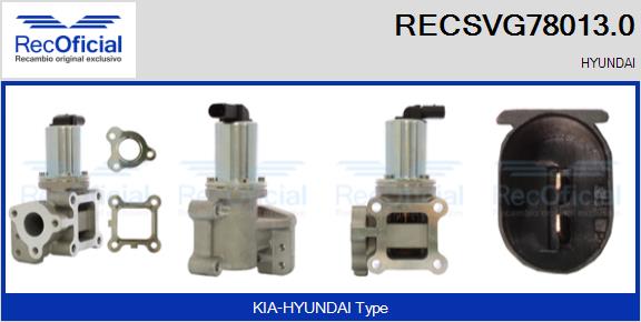 RECSVG78013.0