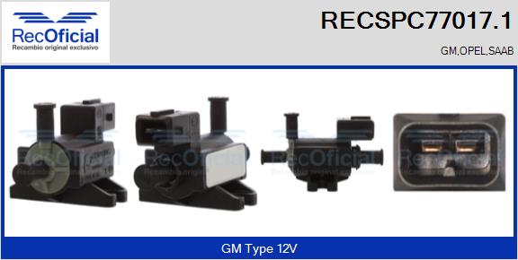 RECSPC77017.1