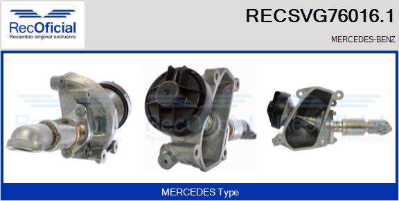 RECSVG76016.1
