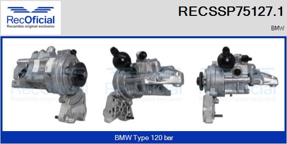 RECSSP75127.1