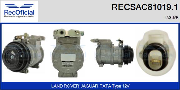 RECSAC81019.1