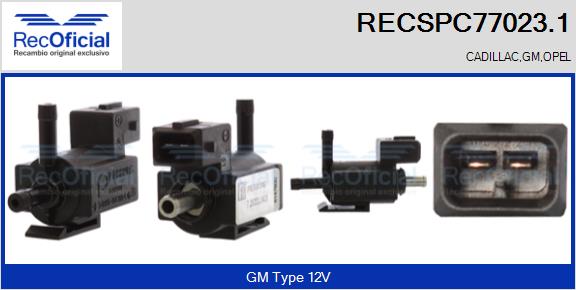 RECSPC77023.1