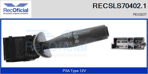 RECSLS70402.1