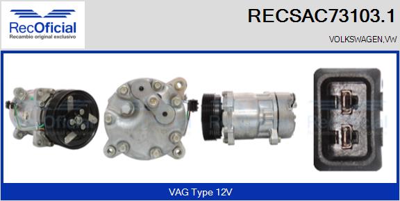 RECSAC73103.1