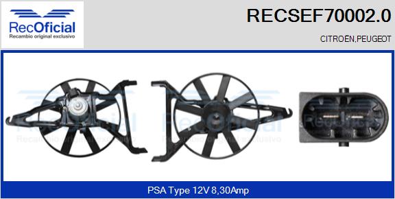 RECSEF70002.0