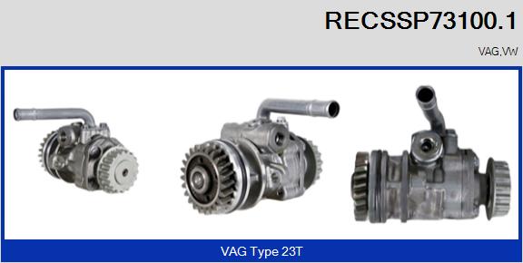 RECSSP73100.1