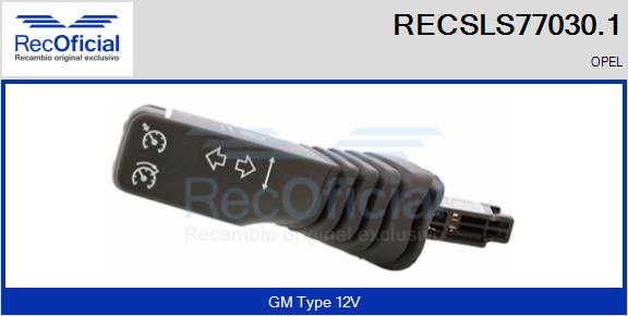 RECSLS77030.1