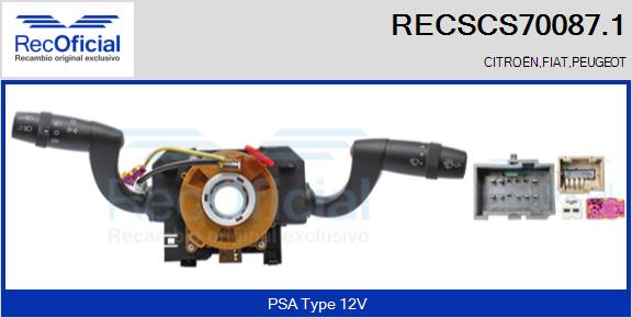RECSCS70087.1