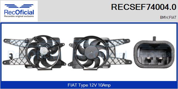 RECSEF74004.0