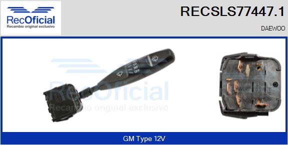 RECSLS77447.1