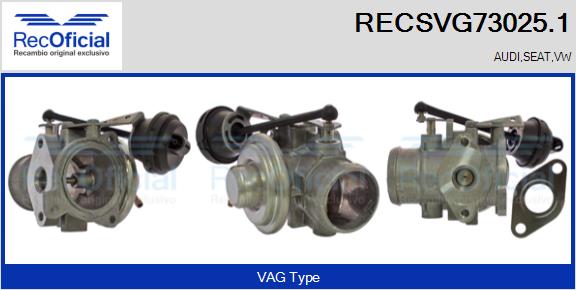 RECSVG73025.1