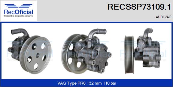 RECSSP73109.1