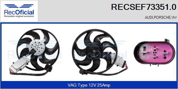 RECSEF73351.0