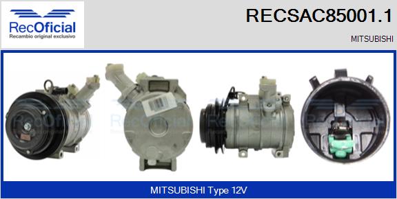 RECSAC85001.1