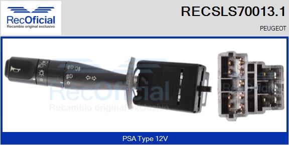 RECSLS70013.1