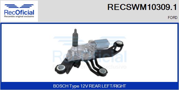 RECSWM10309.1