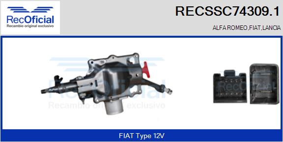 RECSSC74309.1