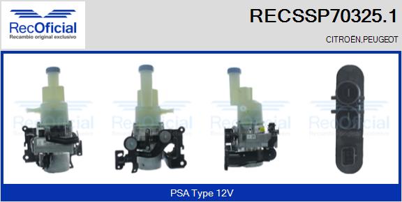 RECSSP70325.1