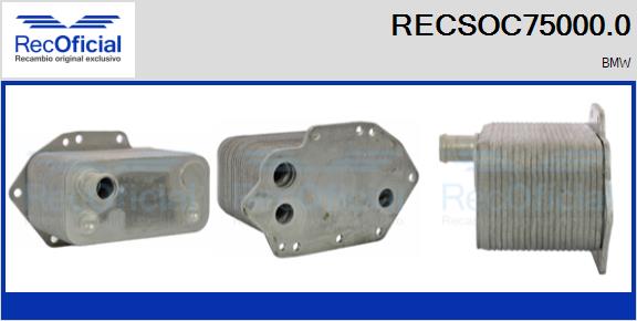 RECSOC75000.0