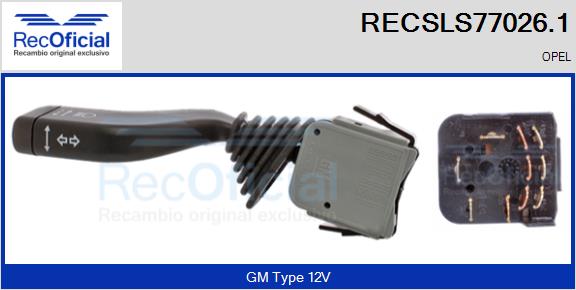 RECSLS77026.1